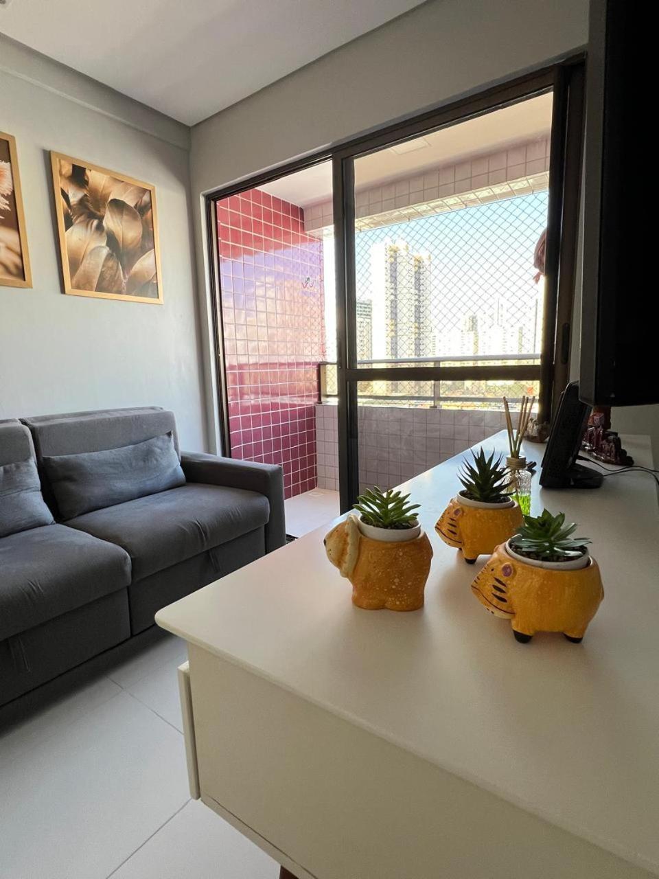 Lindo E Aconchegante Apartment